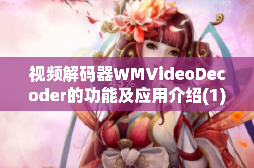 视频解码器WMVideoDecoder的功能及应用介绍(1)