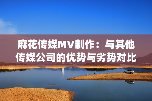 麻花传媒MV制作：与其他传媒公司的优势与劣势对比，谁会领先？(1)