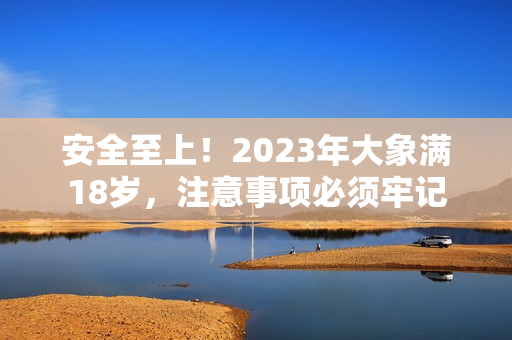 安全至上！2023年大象满18岁，注意事项必须牢记