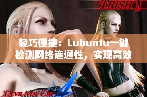 轻巧便捷：Lubuntu一键检测网络连通性，实现高效上网