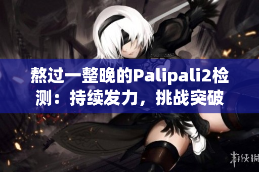 熬过一整晚的Palipali2检测：持续发力，挑战突破