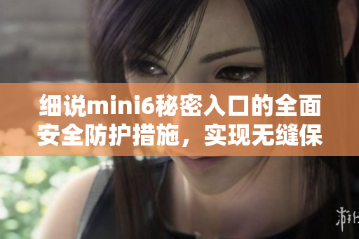 细说mini6秘密入口的全面安全防护措施，实现无缝保护