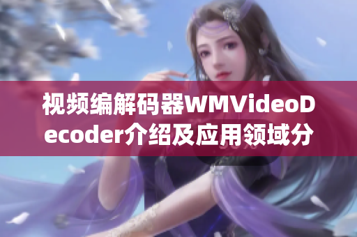 视频编解码器WMVideoDecoder介绍及应用领域分析(1)