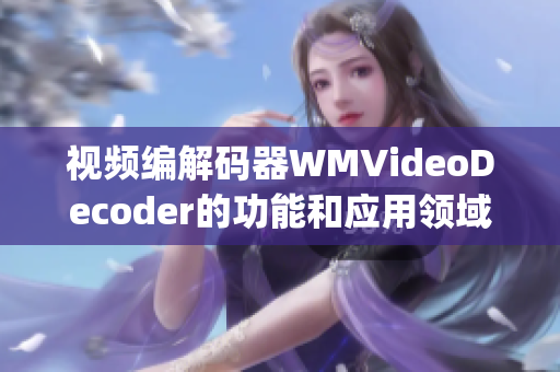 视频编解码器WMVideoDecoder的功能和应用领域(1)