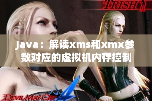 Java：解读xms和xmx参数对应的虚拟机内存控制