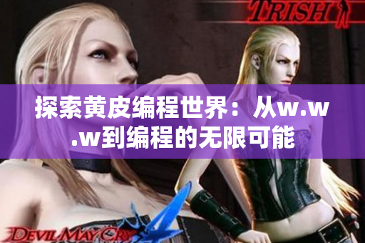 探索黄皮编程世界：从w.w.w到编程的无限可能