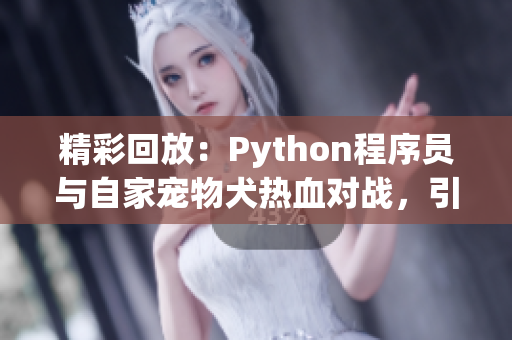 精彩回放：Python程序员与自家宠物犬热血对战，引爆笑闹场面