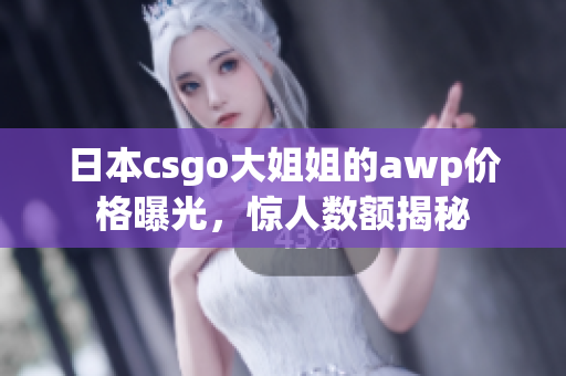 日本csgo大姐姐的awp价格曝光，惊人数额揭秘