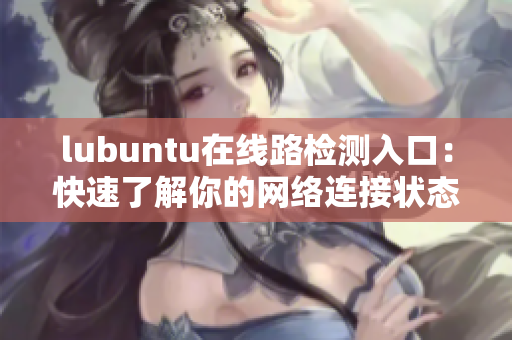 lubuntu在线路检测入口：快速了解你的网络连接状态