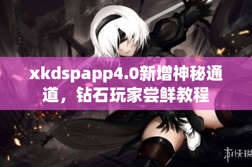 xkdspapp4.0新增神秘通道，钻石玩家尝鲜教程