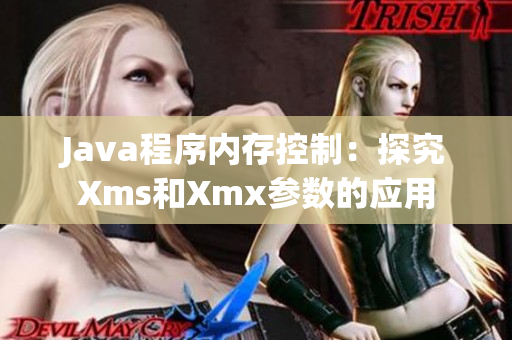 Java程序内存控制：探究Xms和Xmx参数的应用