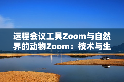 远程会议工具Zoom与自然界的动物Zoom：技术与生态的完美交织