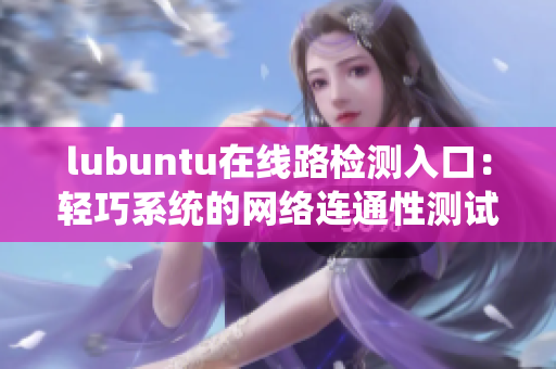 lubuntu在线路检测入口：轻巧系统的网络连通性测试