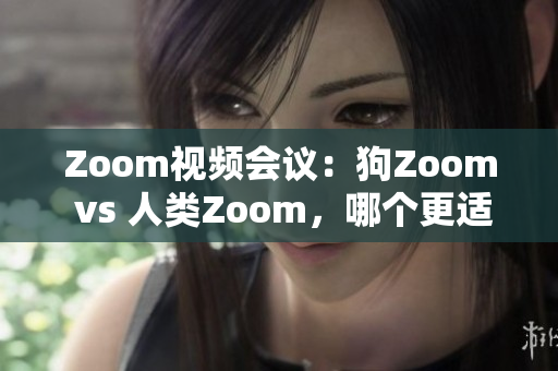 Zoom视频会议：狗Zoom vs 人类Zoom，哪个更适合你？