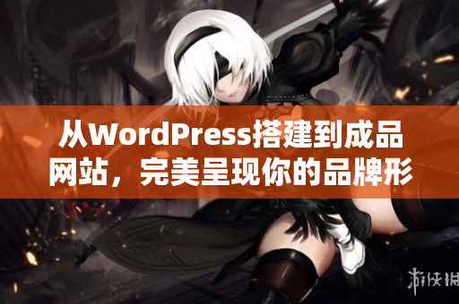 从WordPress搭建到成品网站，完美呈现你的品牌形象