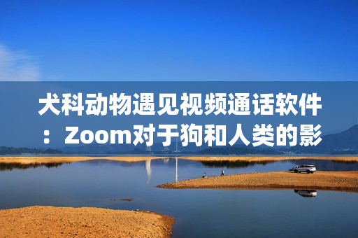 犬科动物遇见视频通话软件：Zoom对于狗和人类的影响(1)