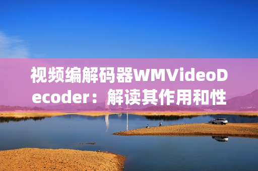 视频编解码器WMVideoDecoder：解读其作用和性能(1)