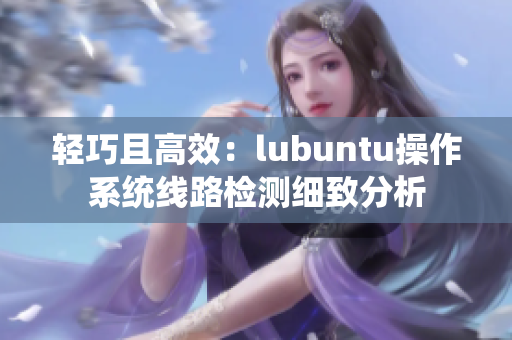 轻巧且高效：lubuntu操作系统线路检测细致分析