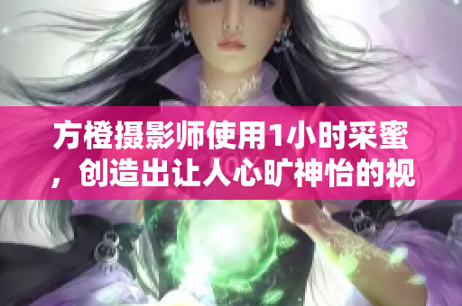 方橙摄影师使用1小时采蜜，创造出让人心旷神怡的视觉享受