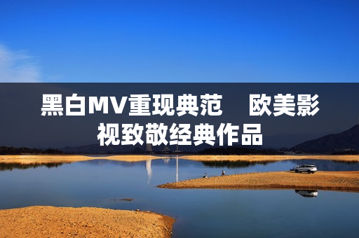 黑白MV重现典范    欧美影视致敬经典作品