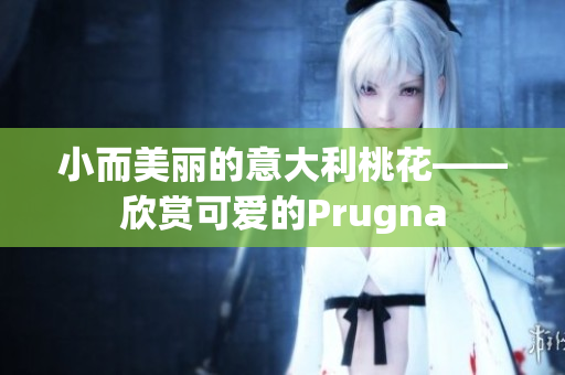 小而美丽的意大利桃花——欣赏可爱的Prugna