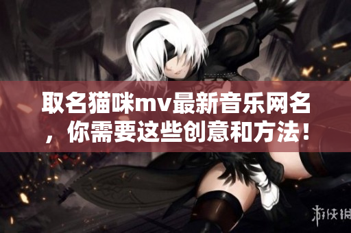 取名猫咪mv最新音乐网名，你需要这些创意和方法！