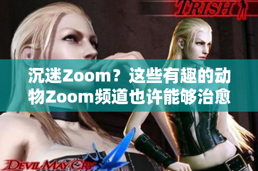 沉迷Zoom？这些有趣的动物Zoom频道也许能够治愈你的孤独