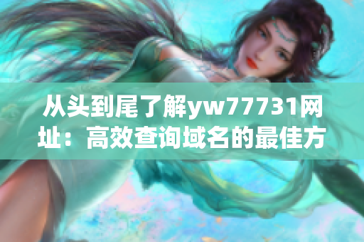 从头到尾了解yw77731网址：高效查询域名的最佳方法