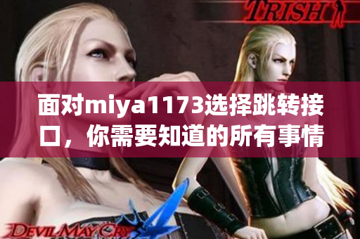 面对miya1173选择跳转接口，你需要知道的所有事情