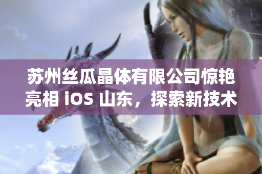 苏州丝瓜晶体有限公司惊艳亮相 iOS 山东，探索新技术之路(1)