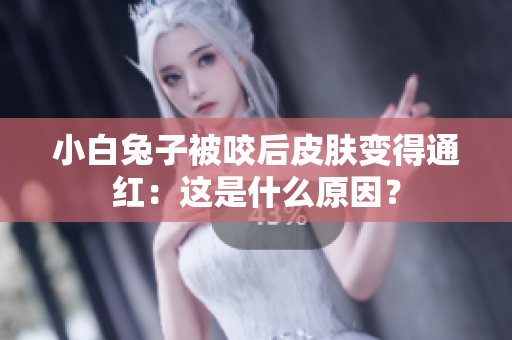 小白兔子被咬后皮肤变得通红：这是什么原因？