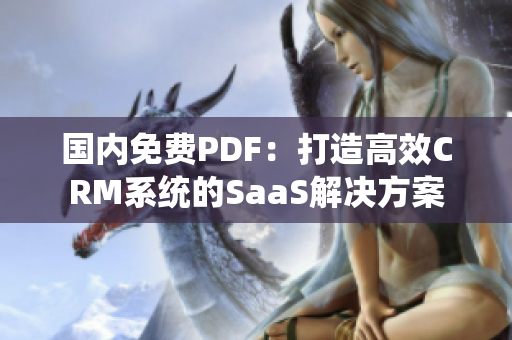 国内免费PDF：打造高效CRM系统的SaaS解决方案