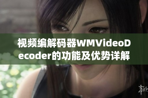 视频编解码器WMVideoDecoder的功能及优势详解(1)