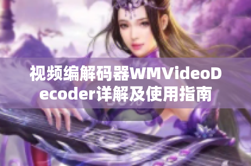 视频编解码器WMVideoDecoder详解及使用指南