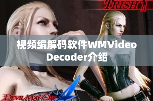 视频编解码软件WMVideoDecoder介绍