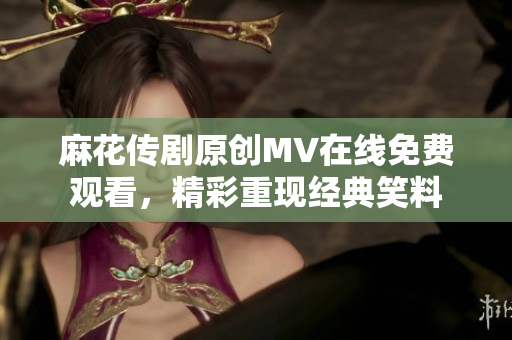 麻花传剧原创MV在线免费观看，精彩重现经典笑料