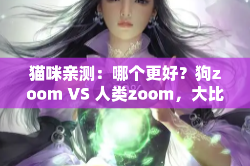 猫咪亲测：哪个更好？狗zoom VS 人类zoom，大比拼