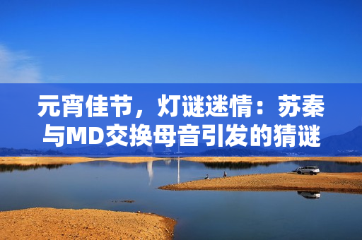 元宵佳节，灯谜迷情：苏秦与MD交换母音引发的猜谜新风潮