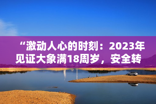 “激动人心的时刻：2023年见证大象满18周岁，安全转场”