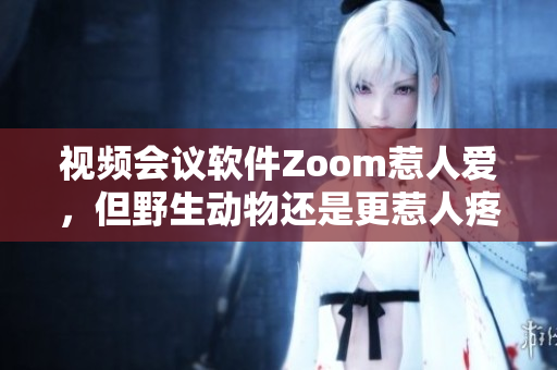 视频会议软件Zoom惹人爱，但野生动物还是更惹人疼