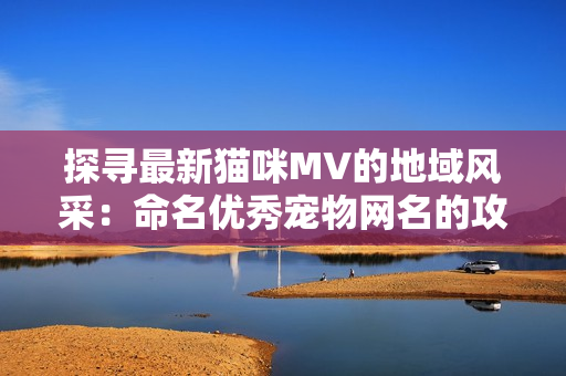 探寻最新猫咪MV的地域风采：命名优秀宠物网名的攻略