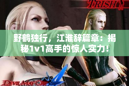 野鹤独行，江淮辞篇章：揭秘1v1高手的惊人实力！