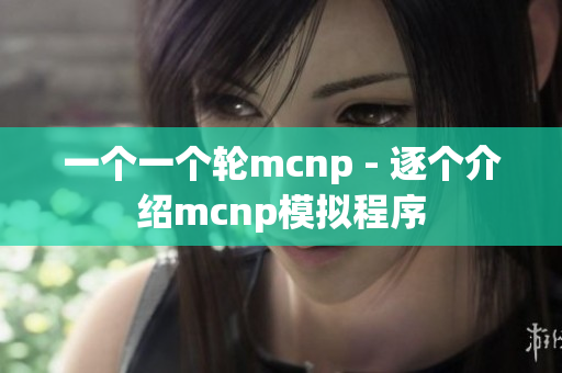 一个一个轮mcnp - 逐个介绍mcnp模拟程序