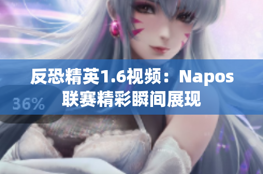 反恐精英1.6视频：Napos联赛精彩瞬间展现