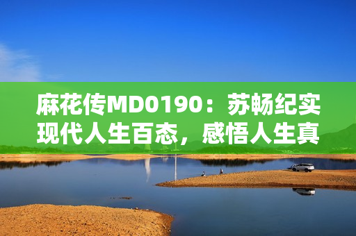 麻花传MD0190：苏畅纪实现代人生百态，感悟人生真谛