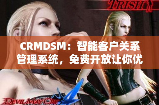 CRMDSM：智能客户关系管理系统，免费开放让你优化业务运营