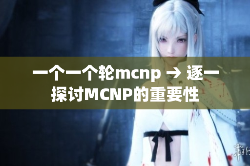 一个一个轮mcnp → 逐一探讨MCNP的重要性