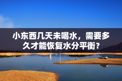 小东西几天未喝水，需要多久才能恢复水分平衡？