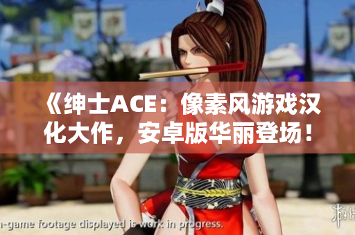 《绅士ACE：像素风游戏汉化大作，安卓版华丽登场！》