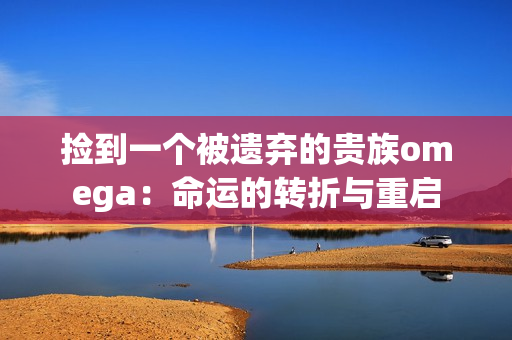 捡到一个被遗弃的贵族omega：命运的转折与重启